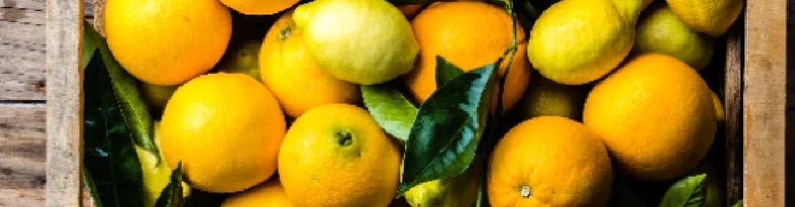 Fruit in kist